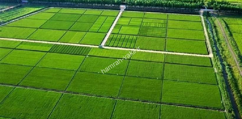 برای تقسیم ارث چه مراحلی لازم است؟ مراحل تقسیم ارث